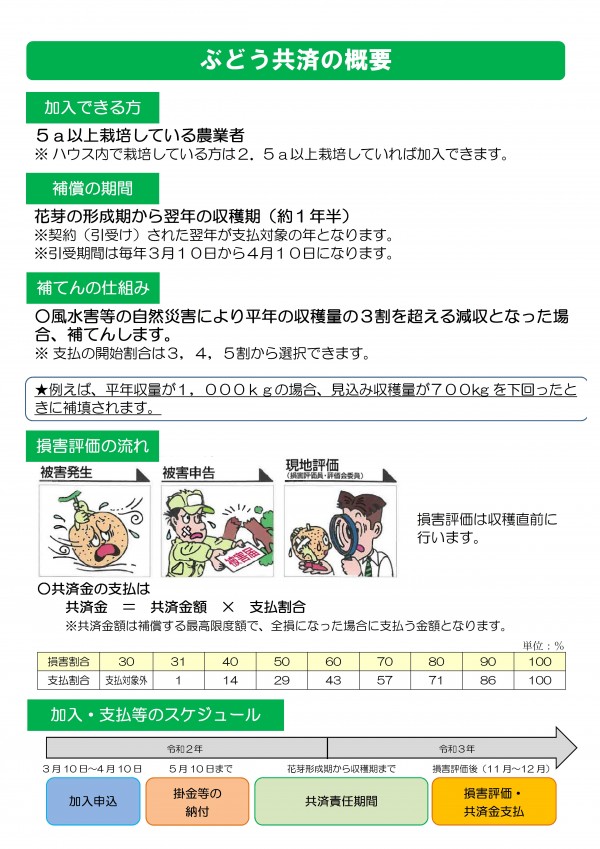 ぶどう共済の概要　加入できる方　５ａ以上栽培している農業者 ※	ハウス内で栽培している方は２．５ａ以上栽培していれば加入できます。補償の期間花芽の形成期から翌年の収穫期（約１年半） ※契約（引受け）された翌年が支払対象の年となります。 ※引受期間は毎年３月１０日から４月１０日になります。補てんの仕組み○風水害等の自然災害により平年の収穫量の３割を超える減収となった場合、補てんします。 ※	支払の開始割合は３，４，５割から選択できます。○共済金の支払は 　　共済金　＝　共済金額　×　支払割合 　　※共済金額は補償する最高限度額で、全損になった場合に支払う金額となります。