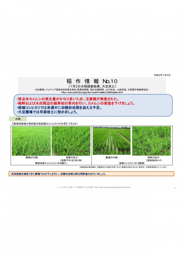 新着情報福井県農業試験場より、「水稲管理、大豆培土」に関する情報提供がありましたので、お知らせいたします。