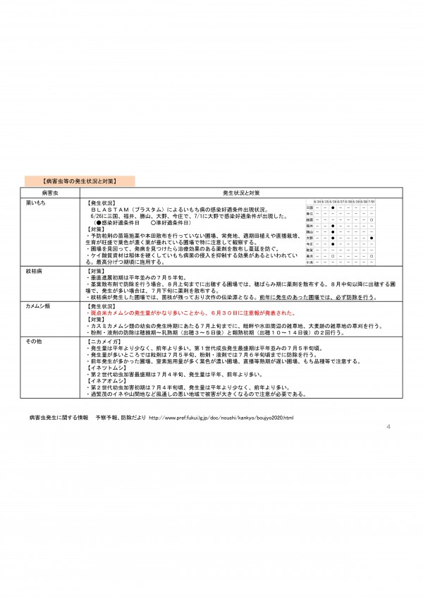新着情報福井県農業試験場より、「水稲管理、大豆培土」に関する情報提供がありましたので、お知らせいたします。