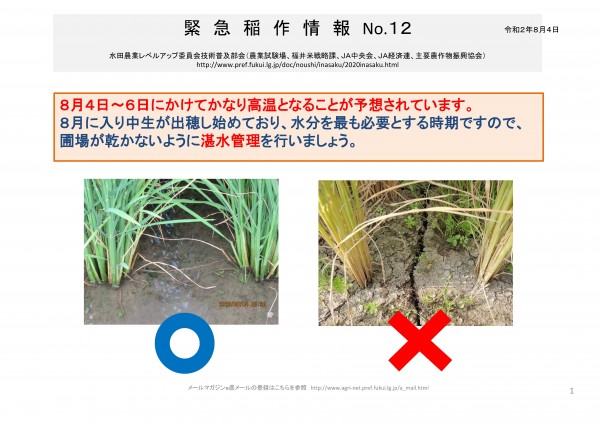 新着情報福井県農業試験場より、「緊急稲作情報」についての情報提供がありましたので、お知らせいたします。