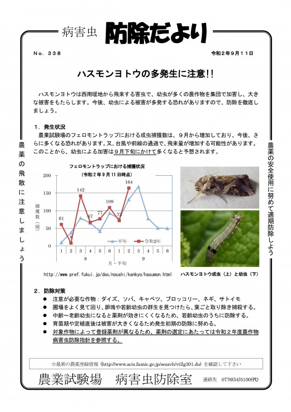新着情報 福井県農業試験場より、「ハスモンヨトウの多発生に注意」の防除だよりの通知がありましたので、お知らせいたします。